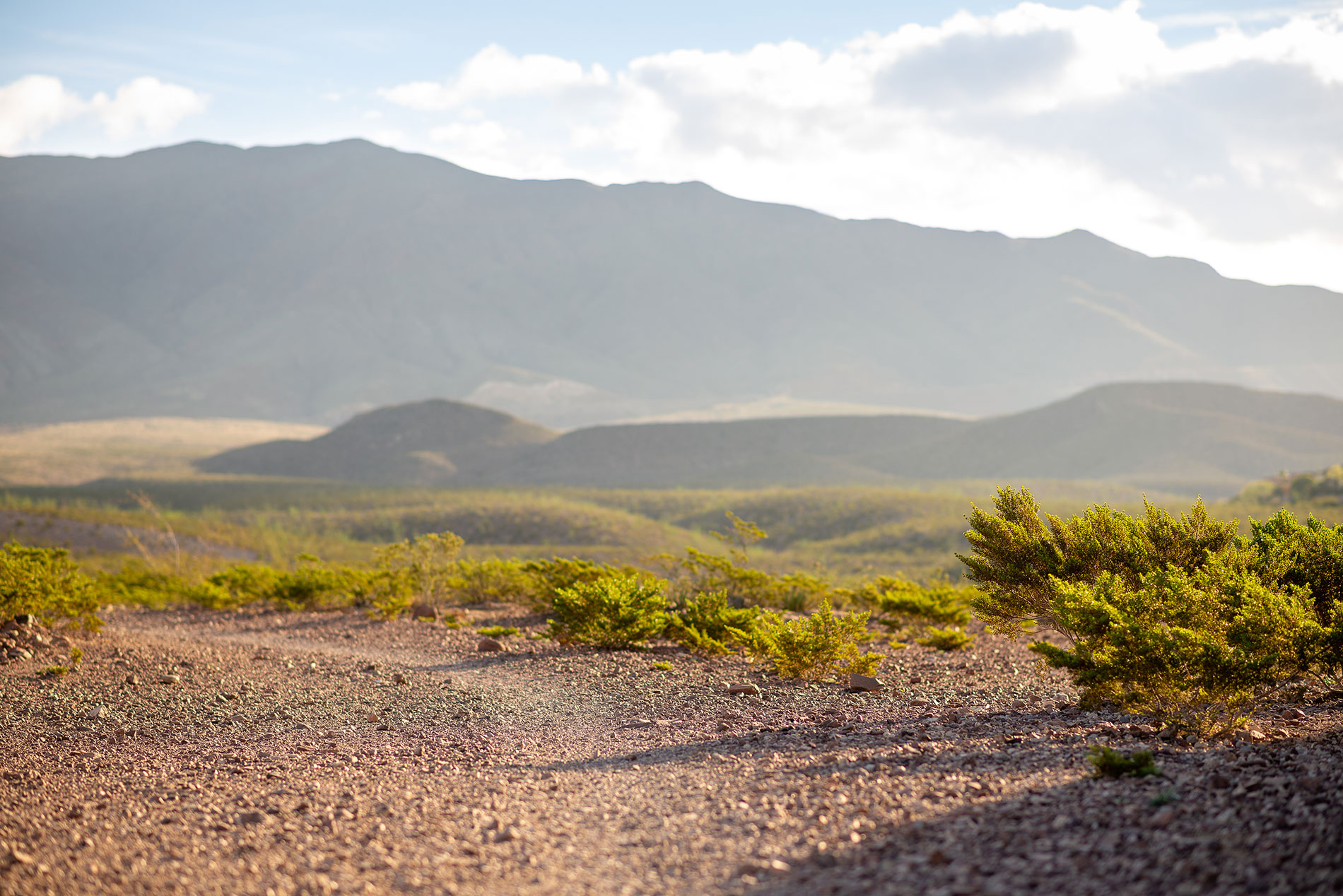 Endodontic Treatment in El Paso